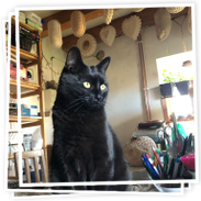 Galerie EM keramika - výroba tradičních keramických forem na pečení