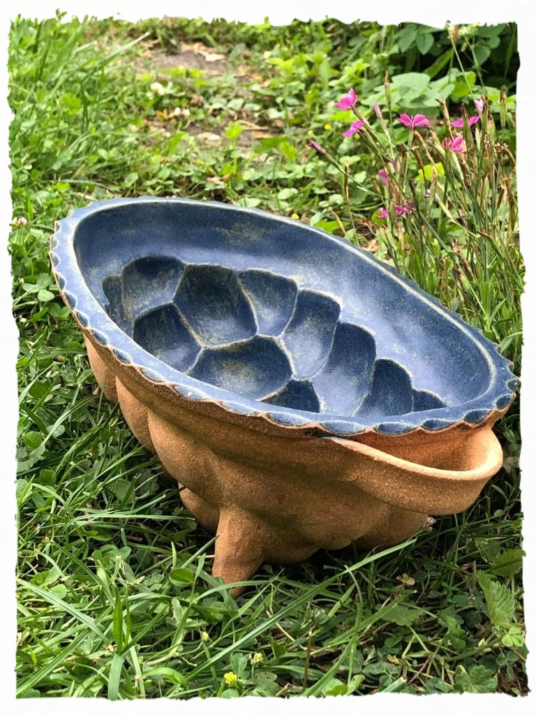 Vánočka boubelatá